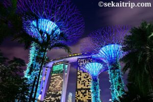 シンガポールのガーデンズ・バイ・ザ・ベイ（Gardens by the Bay）の夜景