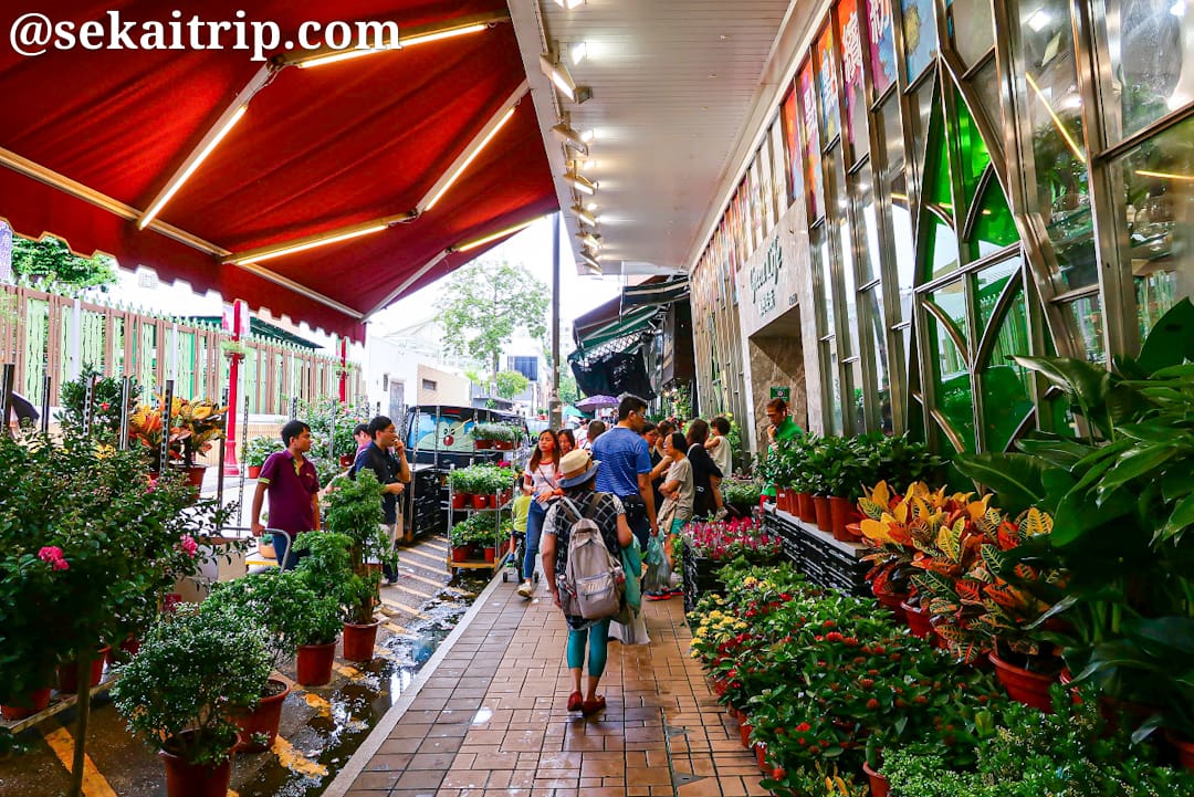 香港の花園街（Flower Market）