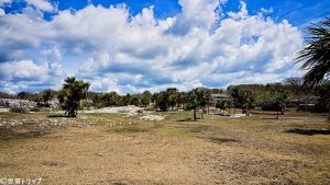 トゥルム遺跡（Ruinas de Tulum）の景色