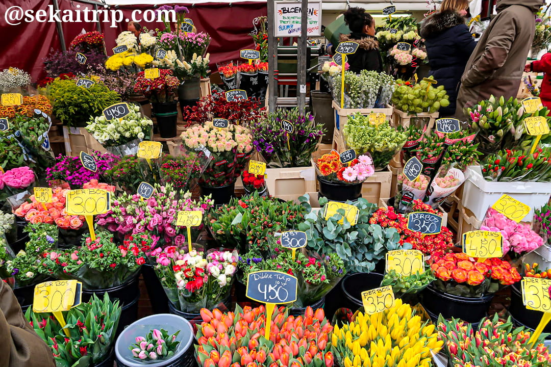 ダッペル市場（Dappermarkt）の花屋さん